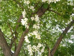 android_upload_pic-哈尔滨文化公园