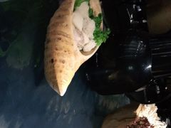 -凤园椰珍·臻品椰子鸡(保利时光里店)
