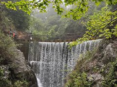 -大奇山国家森林公园