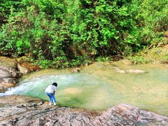 -广州白江湖森林公园