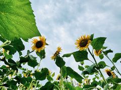 -长春公园(普阳街道)