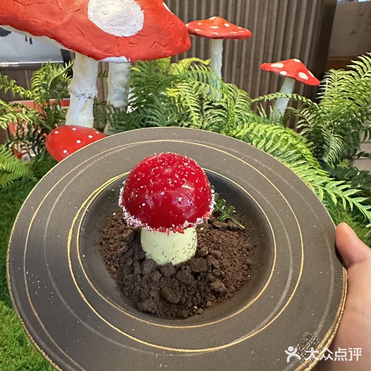 不在云南 在上海 涨见识了