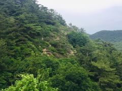 -金龙寺国家森林公园