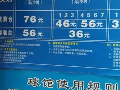 -大凤凰乒乓球馆