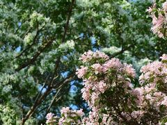 -国家植物园南园