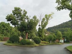 -呼吸森林·生态农庄农家乐私房菜