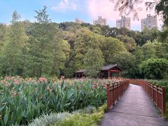 -重庆彩云湖湿地公园