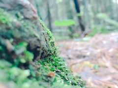 -公盂村