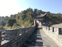 -黄贤森林公园