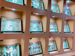 -陕西自然博物馆