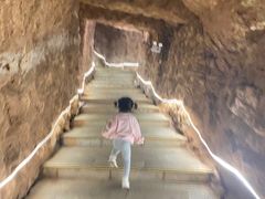 -中国西峡恐龙遗迹园