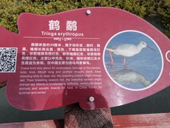 -北海金海湾红树林生态旅游区