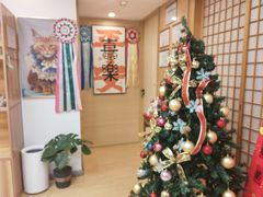 -猫十亿·布偶金渐层·曼基康矮脚猫舍(青年路店)
