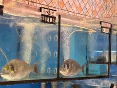 -新辉港式茶餐厅(北栅店)