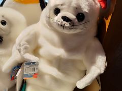 -太平洋海底世界