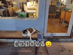 -琥珀川咖啡馆·Amber cafe(百祥路店)