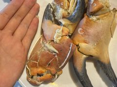 -九月海·海鲜自助(世纪东方店)