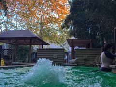 -春晖园度假酒店温泉