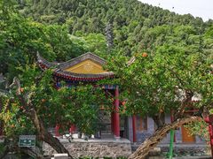 -华清宫景区