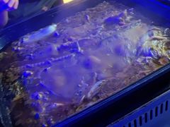 -琶醍壹号•潮菜江景餐吧