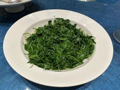 -圆苑(静安寺店)
