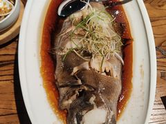 清蒸鸦片鱼-胖老汉(北京路店)