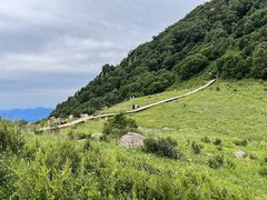 -白草畔自然风景区