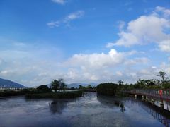 -芒洲湿地公园