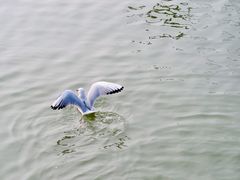 -蠡湖大桥公园