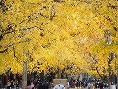 -四川大学(华西校区)