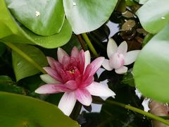 -国家植物园南园
