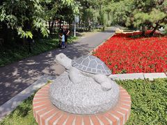 -黑龙江省森林植物园