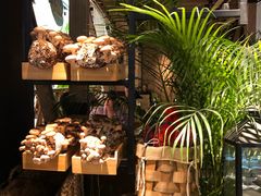 -大头椰·椰子鸡火锅(南宁万象城店)