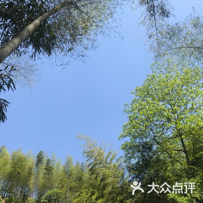 宜春栖隐山庄樱花谷
