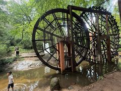-波尔登森林公园