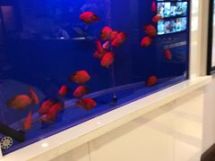 -潮粤轩粤菜海鲜(颐中皇冠店)