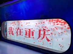 -重庆欢乐海底世界