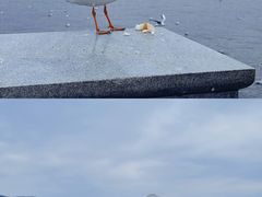 -海埂大坝