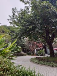 点击看大图 -莲生母婴月子中心(清水河公园店)