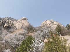 -北京凤凰岭