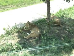 -西安秦岭野生动物园