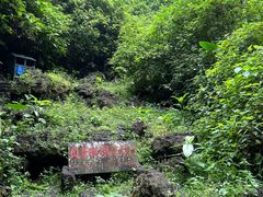 -海口火山口国家地质公园