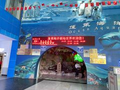 -蓬莱欧乐堡海洋极地世界