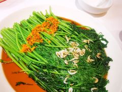 -解家河南菜(北环路店)