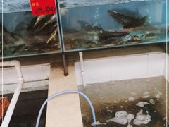 -小乡小镇·传承桐庐土菜·老板亲自烧的菜