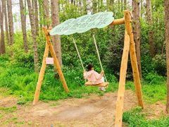 -同里国家湿地公园