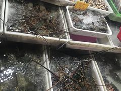 -拉威海鲜市场