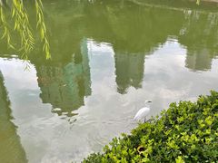 -陆家嘴中心绿地