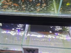 -宠物世家(仲盛世界商城店)