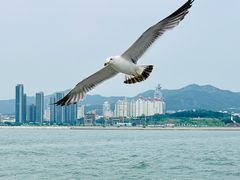 -刘公岛景区